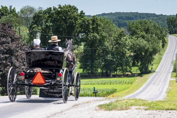 Circuit La Côte Est Américaine, entre New York et Miami pas cher photo 19