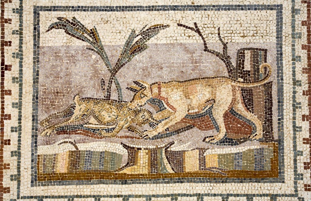 CIRCUIT MER & OASIS EN 4X4 8J/7N pas cher photo 7