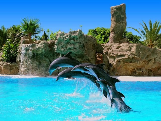 Séjour Decouverte Famille en hotel 3* pas cher photo 2