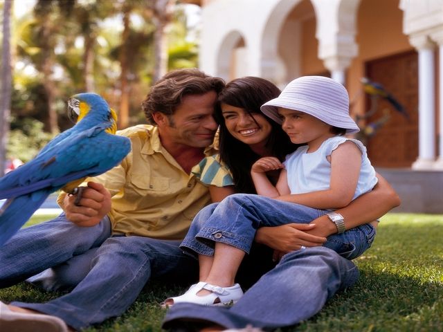 Séjour Decouverte Famille en hotel 3* pas cher photo 3