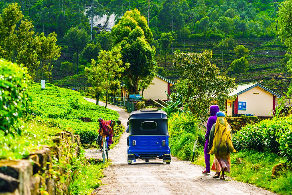 Trésors de Ceylan 4* pas cher photo 6