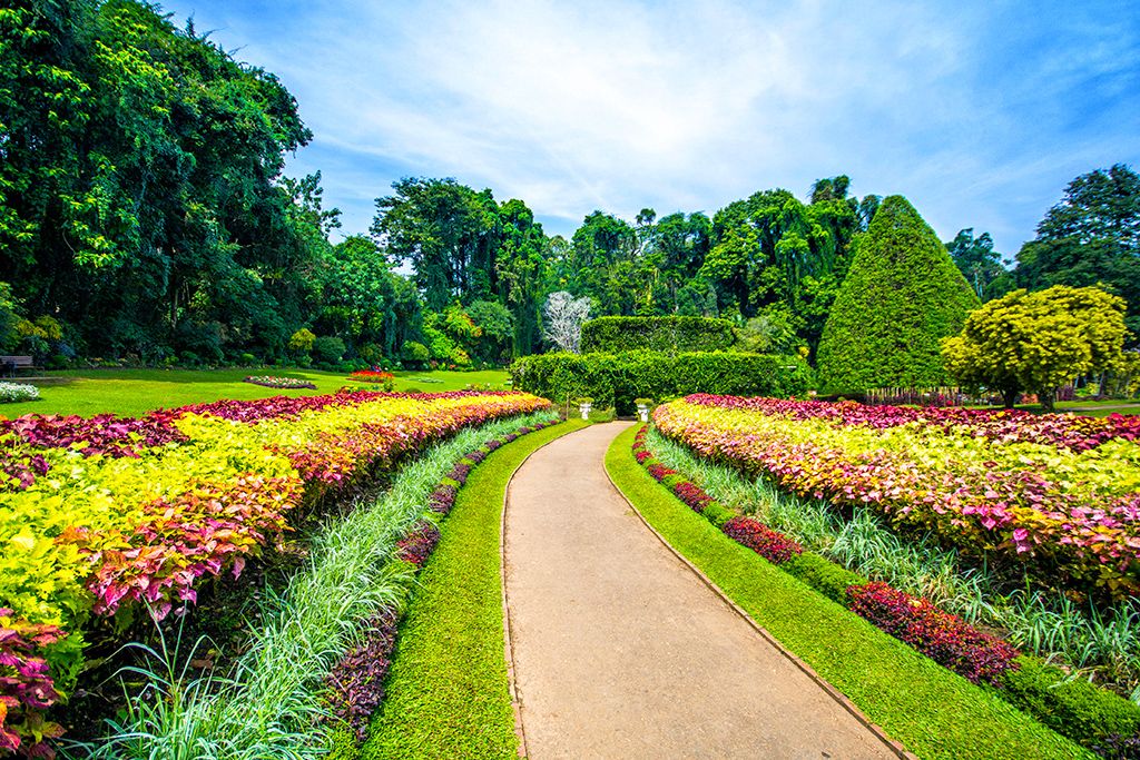 Trésors de Ceylan 4* pas cher photo 9