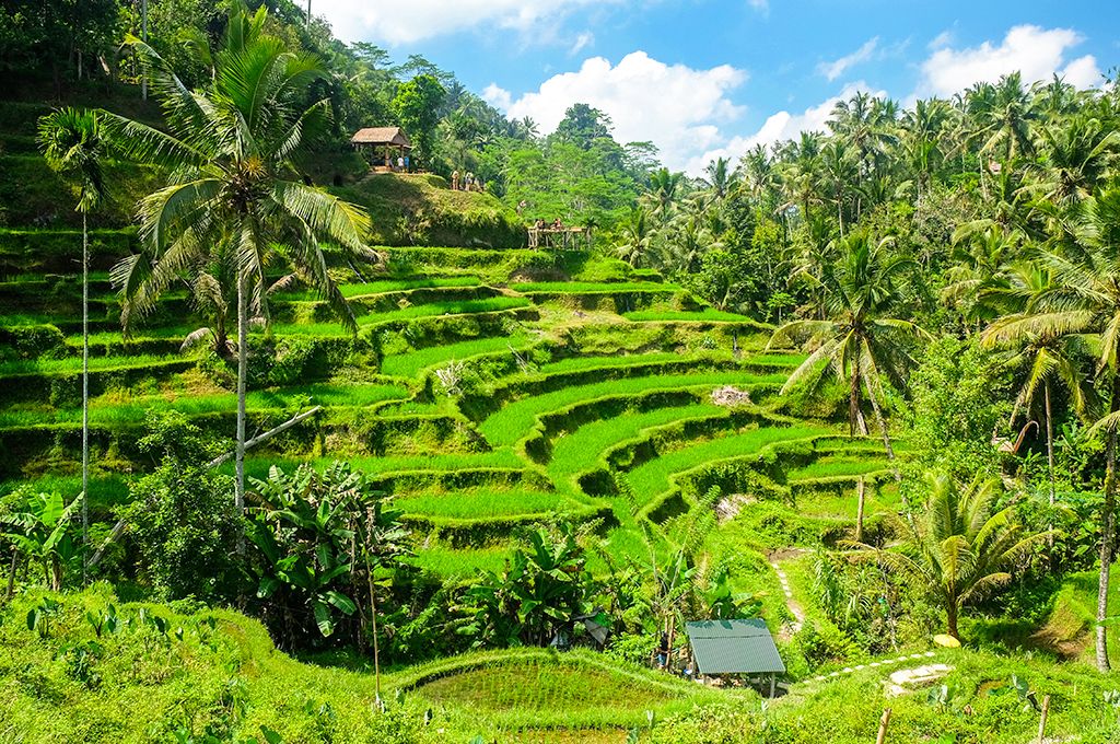 Combiné Ubud et Nusa Dua en villas avec piscine privée 4* pas cher photo 7