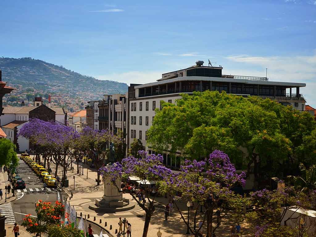 Réveillon à Madère - Hôtel Muthu Raga Madeira 4* - Formule en liberté pas cher photo 12