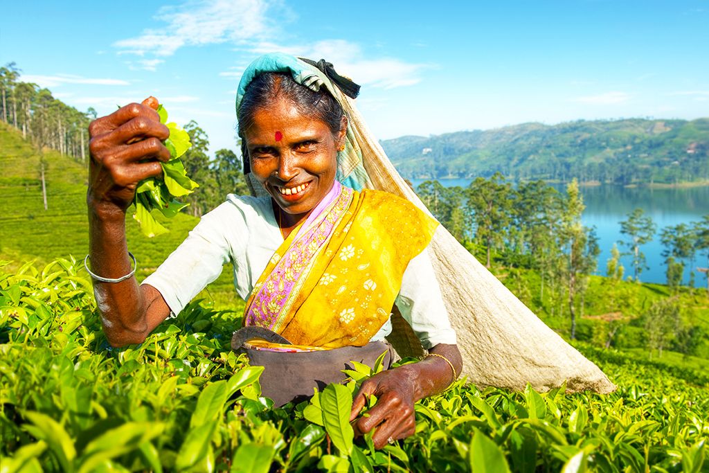 Merveilles de Ceylan 4* pas cher photo 3