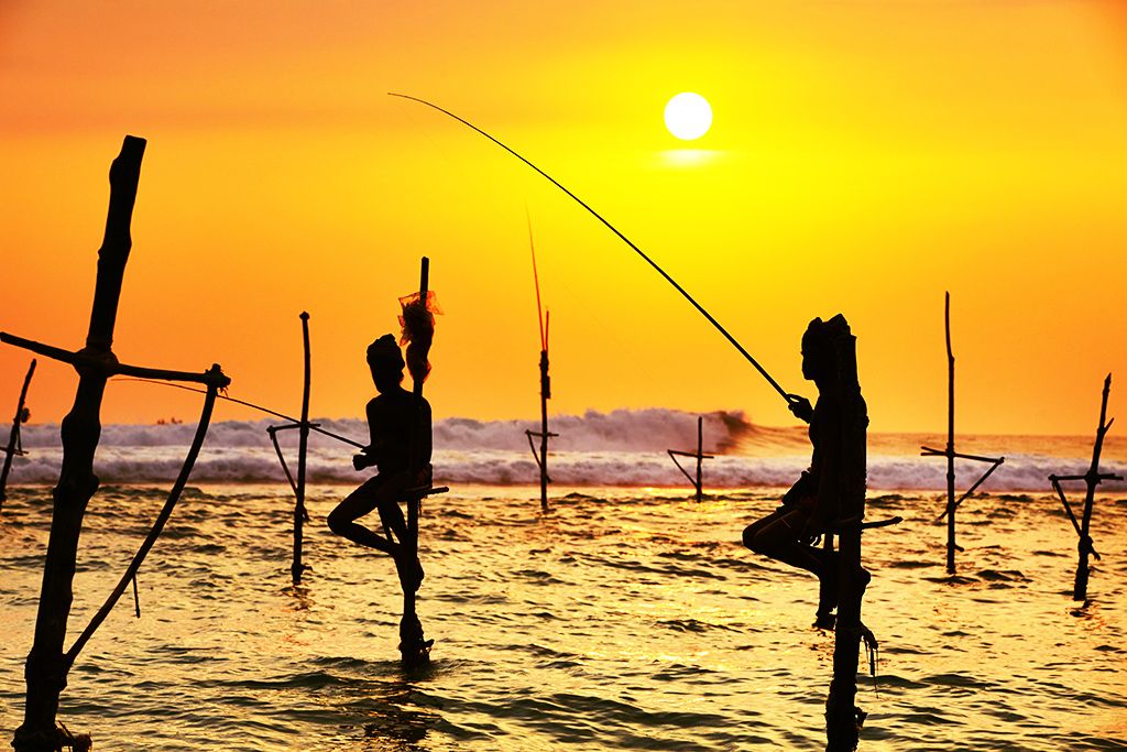 Merveilles de Ceylan 4* pas cher photo 1