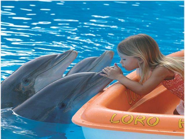 Séjour Decouverte Famille en hotel 5* pas cher photo 5