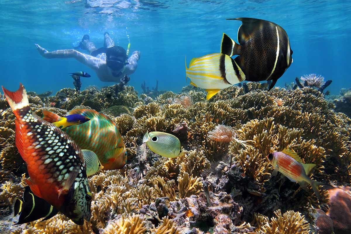 Échappée active depuis le club Héliades Riu Touareg 5* pas cher photo 3