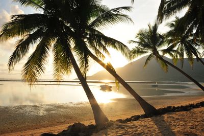 Combiné Bangkok, Koh Tao & Koh Samui 4* pas cher photo 11