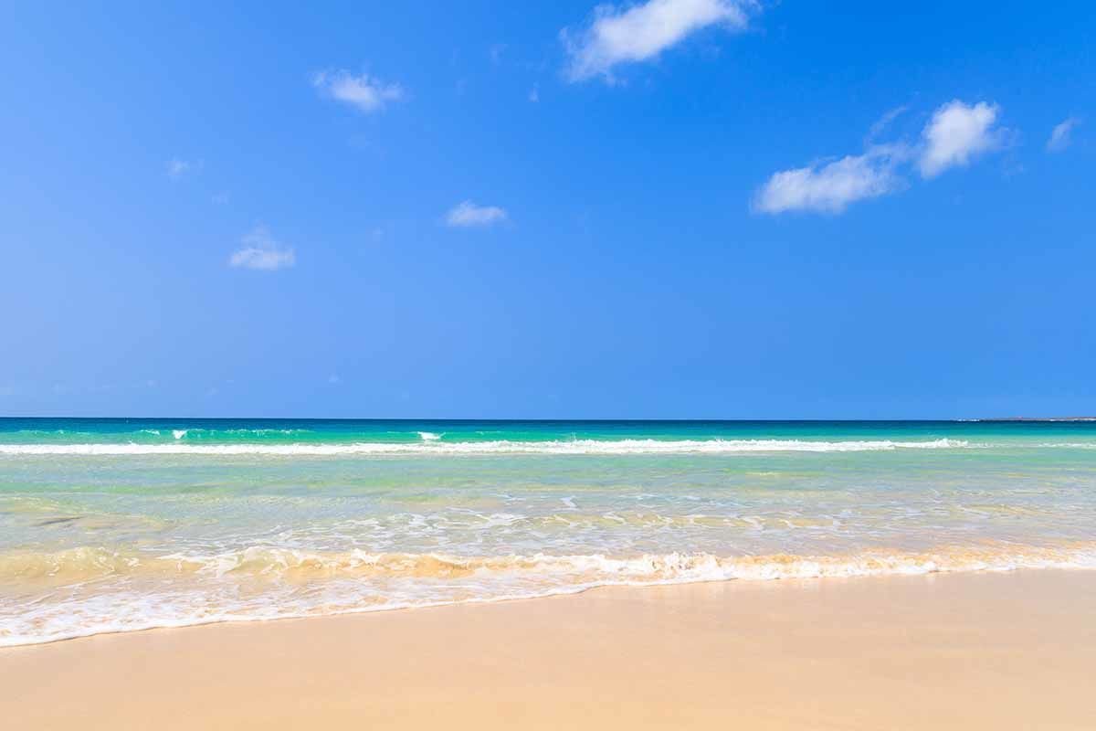 Échappée active depuis le Riu Palace Boavista 5* pas cher photo 6