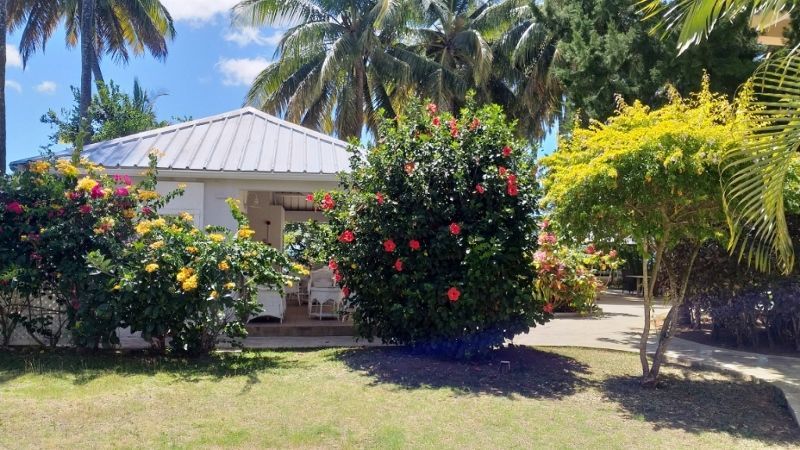 Combiné Rodrigues & île Maurice: Les cocotiers Boutik Hôtel pas cher photo 2
