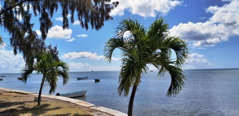Combiné Rodrigues & île Maurice: Les cocotiers Boutik Hôtel pas cher photo 6