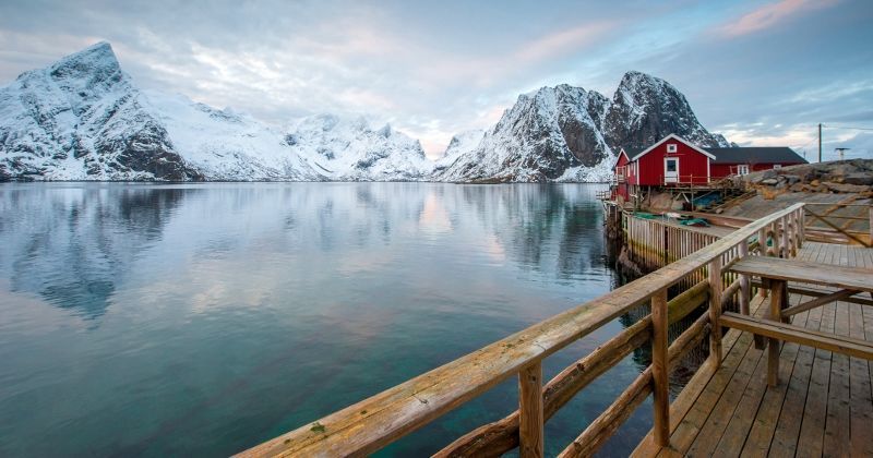 Découverte Arctique pas cher photo 2