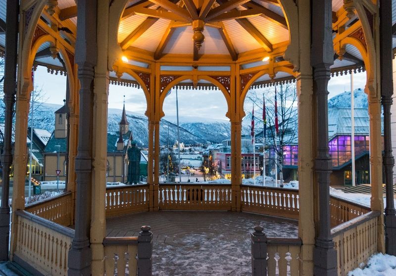 Découverte Arctique pas cher photo 4