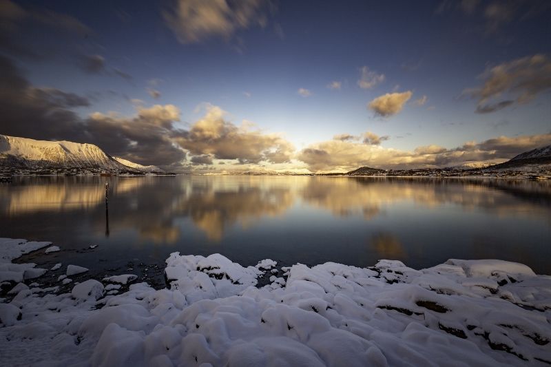 Découverte Arctique pas cher photo 8