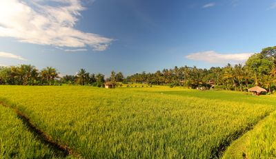 Mathis Collection Charming Bali pas cher photo 7