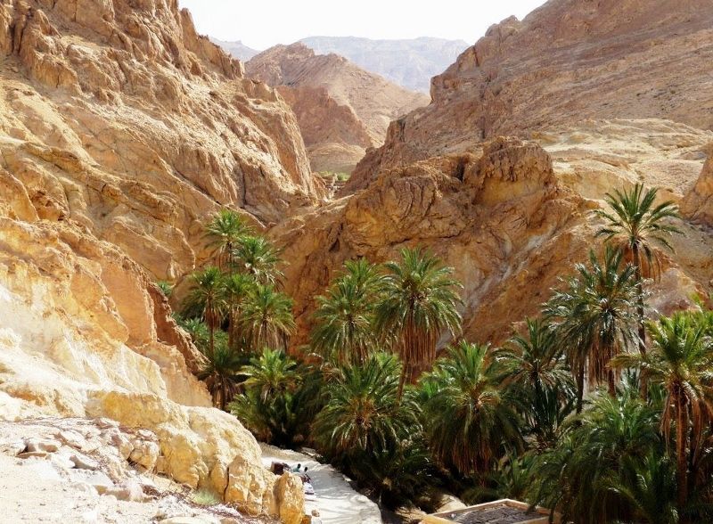 Circuit Mer et Désert 4* pas cher photo 9