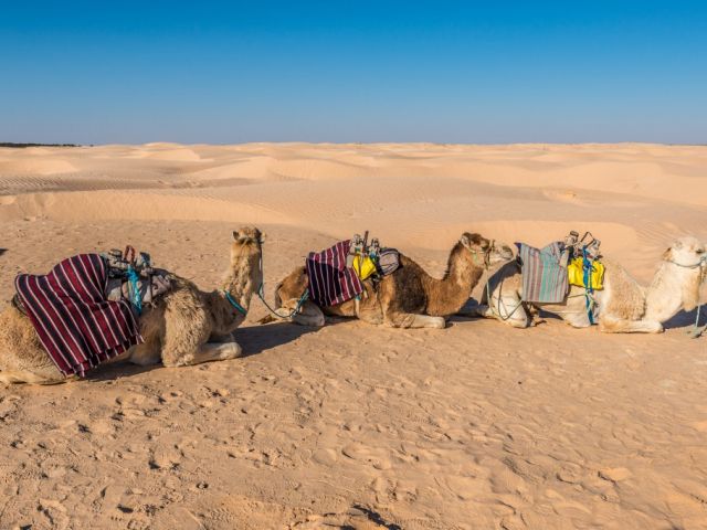 Circuit Splendeurs du Sud 4* Djerba pas cher photo 6