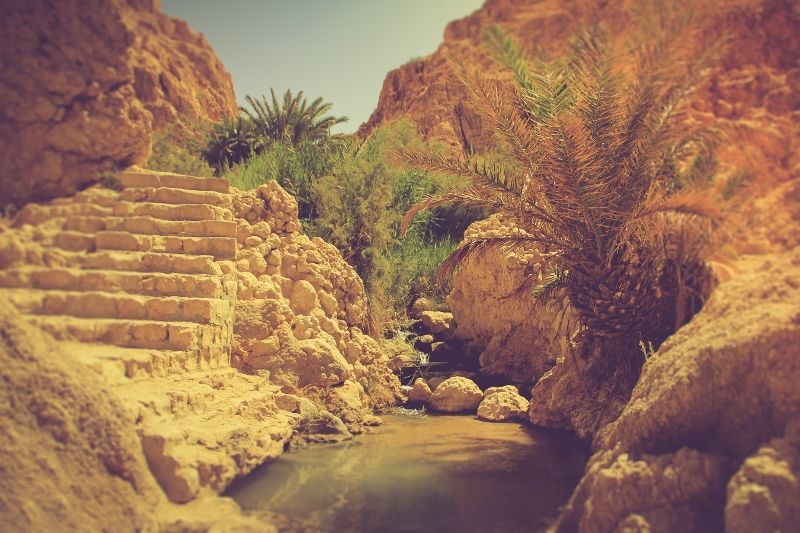 Circuit Grand Tour Tunisien 4* pas cher photo 6