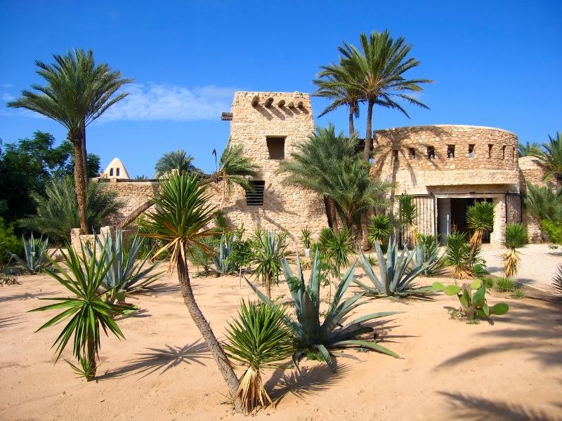 Circuit Grand Tour Tunisien 4* pas cher photo 11