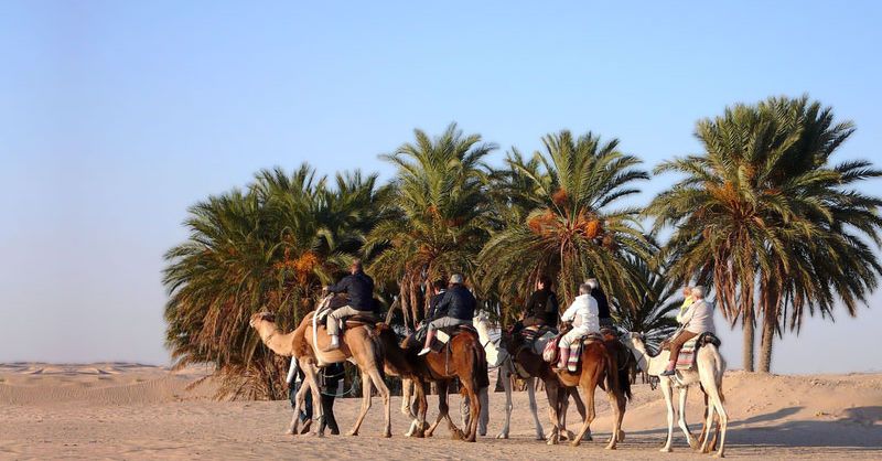 CIRCUIT TUNISIE: DOUCEUR AUTHENTIQUE ENTRE MER ET OASIS 7N-8J en 4* pas cher photo 7