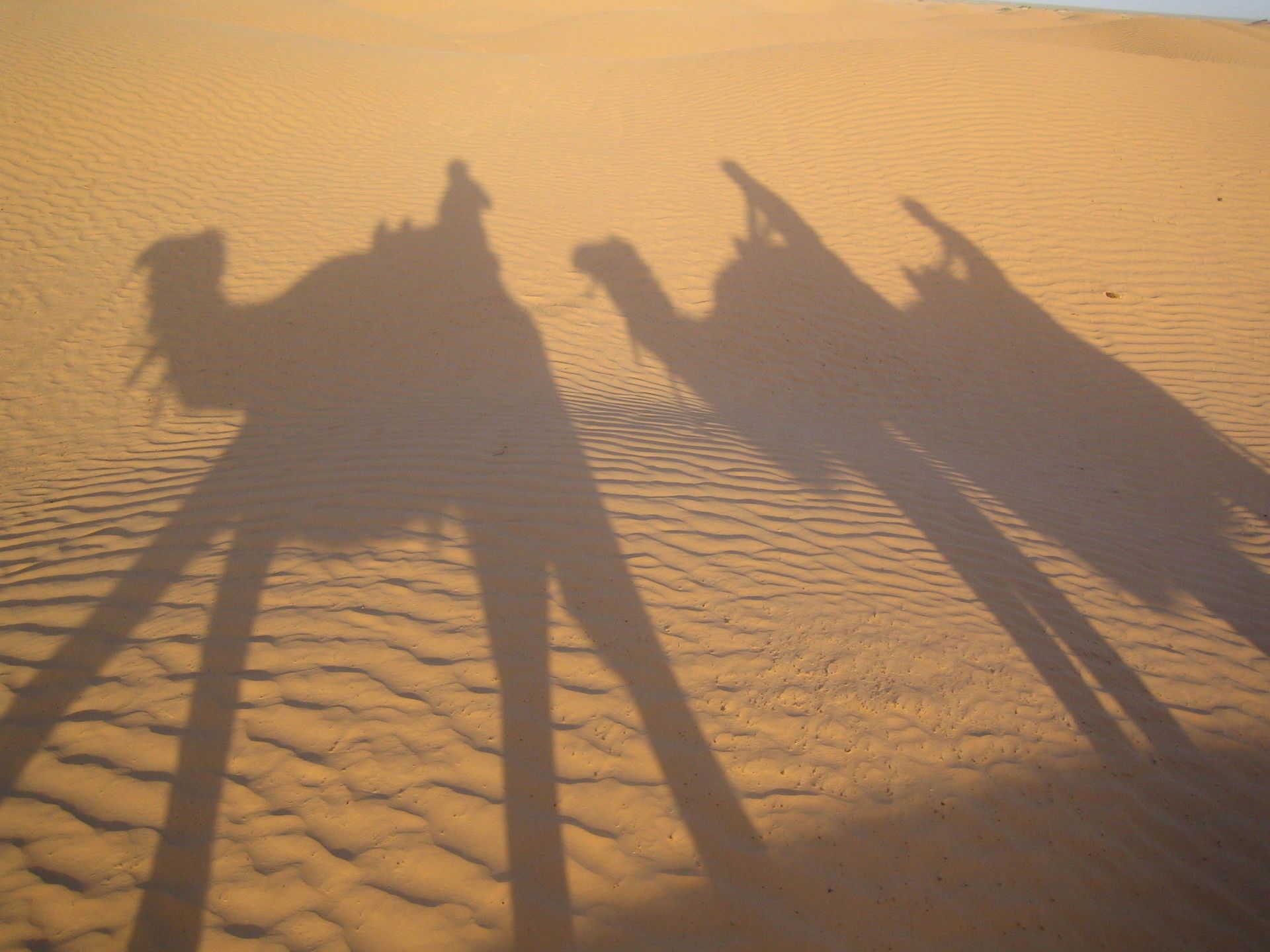 CIRCUIT TUNISIE: DOUCEUR AUTHENTIQUE ENTRE MER ET OASIS 7N-8J en 4* pas cher photo 9