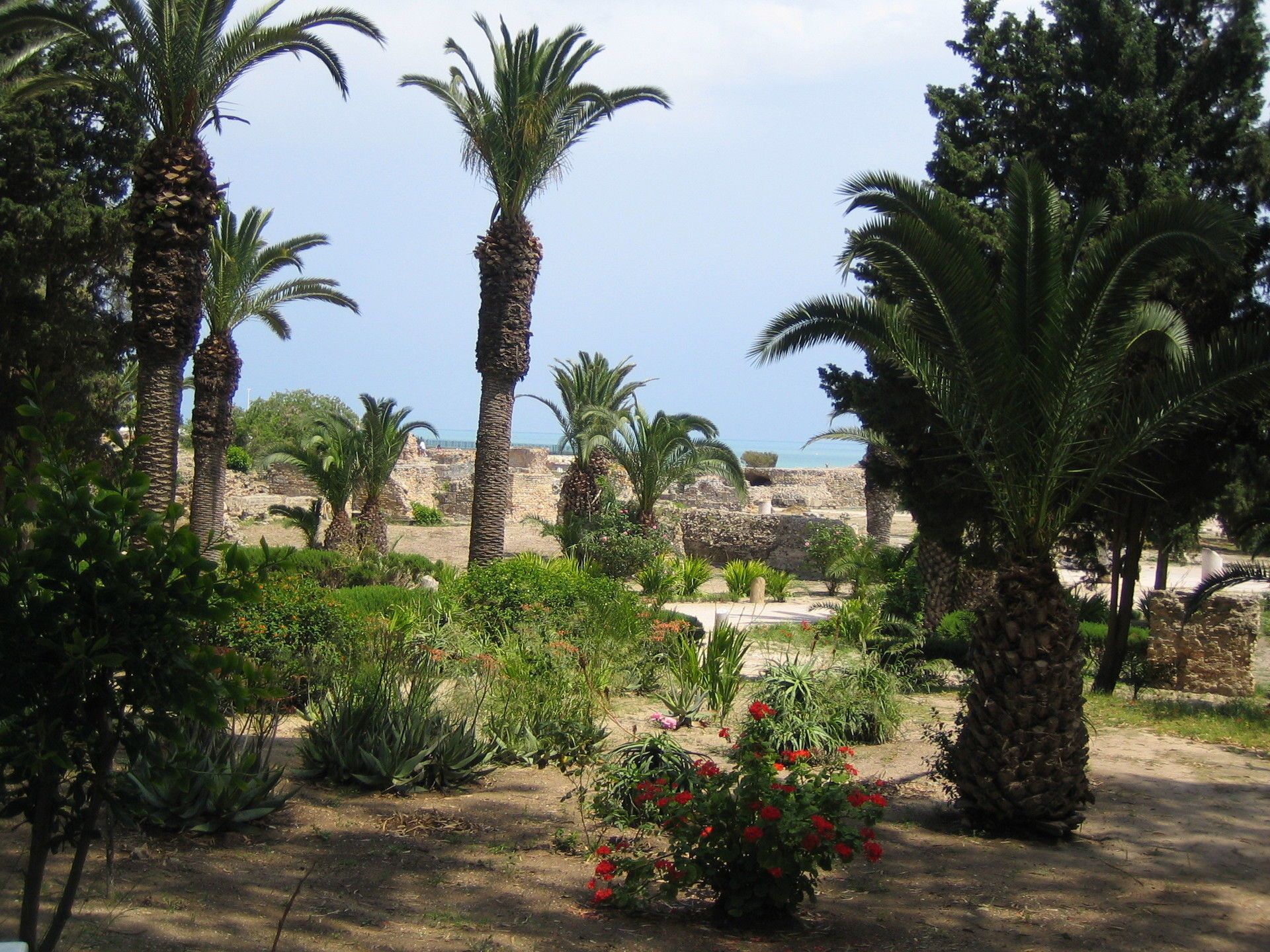 CIRCUIT TUNISIE: DOUCEUR AUTHENTIQUE ENTRE MER ET OASIS 7N-8J en 4* pas cher photo 10