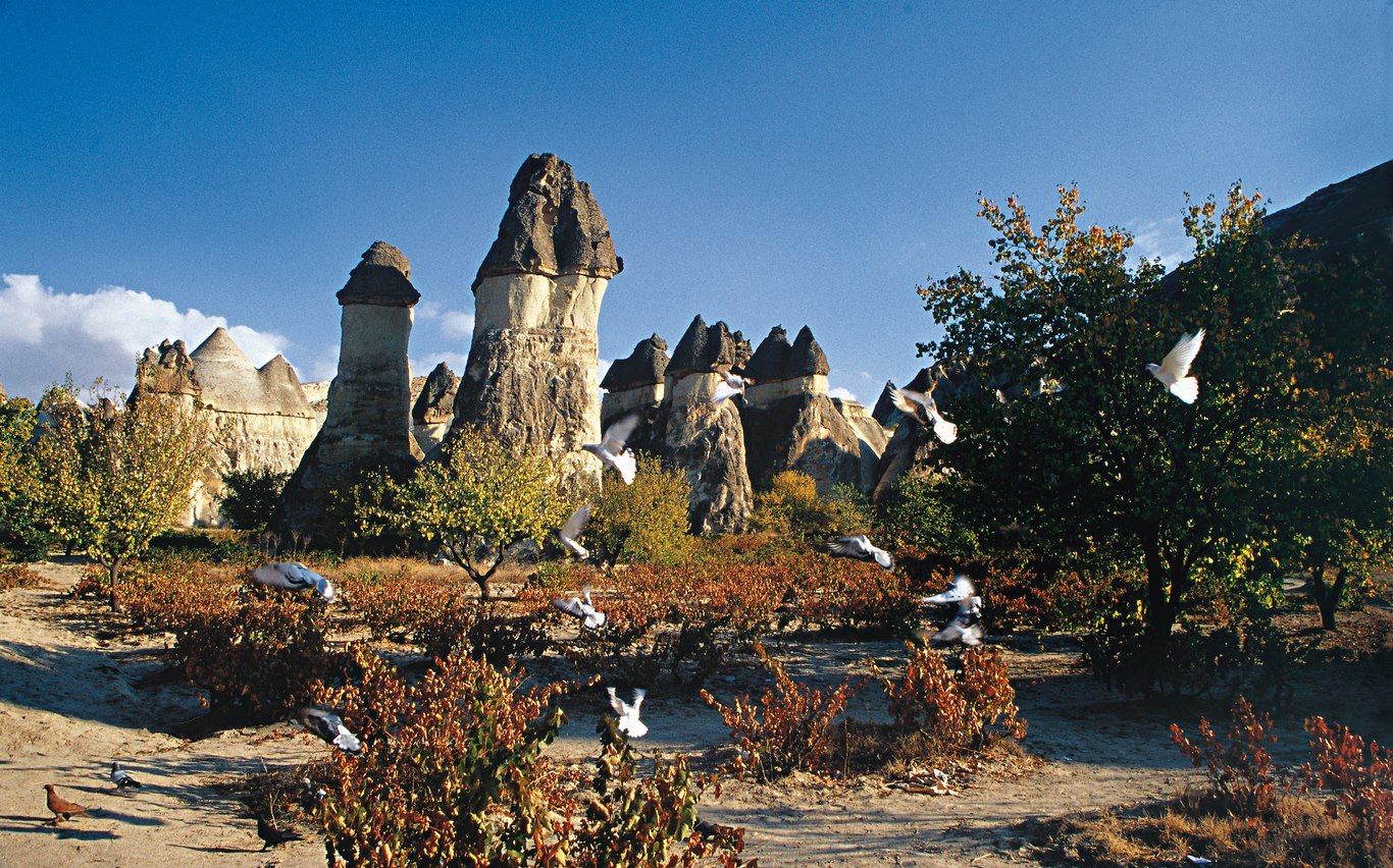 CAP SUR LA TURQUIE - 8J/7N - 2019/20 pas cher photo 7