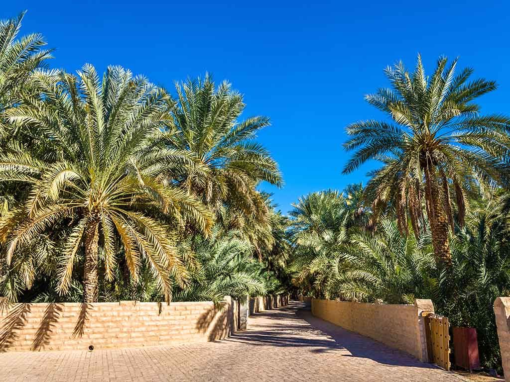 Splendeurs des Émirats pas cher photo 7