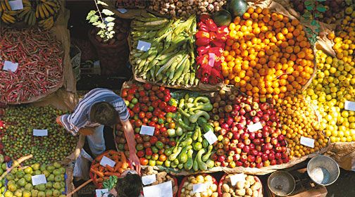 Funchal Saveur Nature - Madère pas cher photo 5