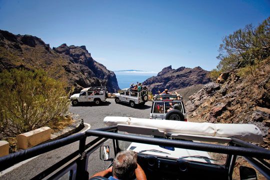 Tenerife Saveur Nature - Tenerife pas cher photo 1