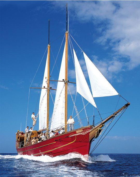 Tenerife Saveur Nature - Tenerife pas cher photo 2