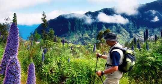 Madère Saveur Rando 3* - Madère pas cher photo 4
