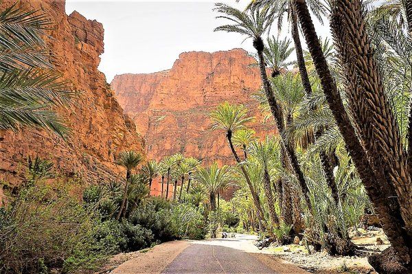 Evasion Marocaine du Sud au Nord pas cher photo 9