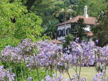 Caniçal Saveur Nature 5* pas cher photo 3