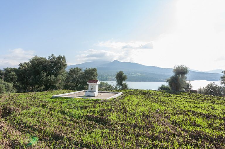 CIRCUIT LA DIVERSITE DU PAYSAGE TUNISIEN, Pension Complète (7 nuits) pas cher photo 6