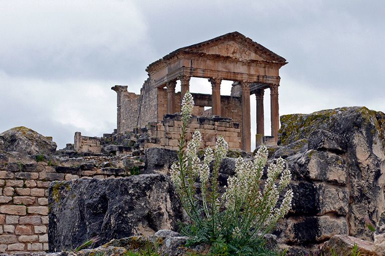 CIRCUIT LA DIVERSITE DU PAYSAGE TUNISIEN, Pension Complète (7 nuits) pas cher photo 11