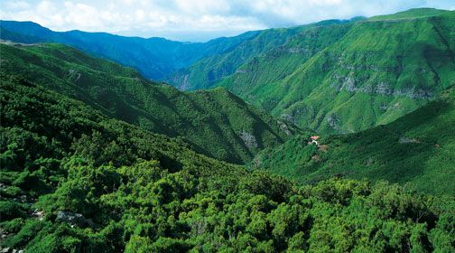 Au Coeur de Madère 3* pas cher photo 2