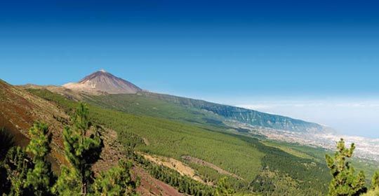 Au Coeur de Tenerife 3* - Tenerife pas cher photo 1