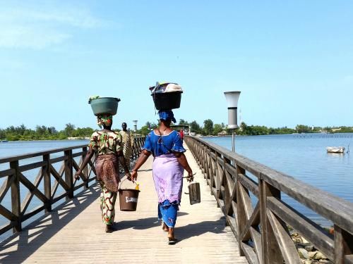 Circuit Tresors du Senegal 3* pas cher photo 7