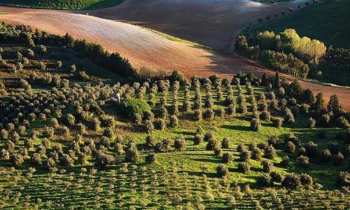 INDISPENSABLE PORTUGAL pas cher photo 6
