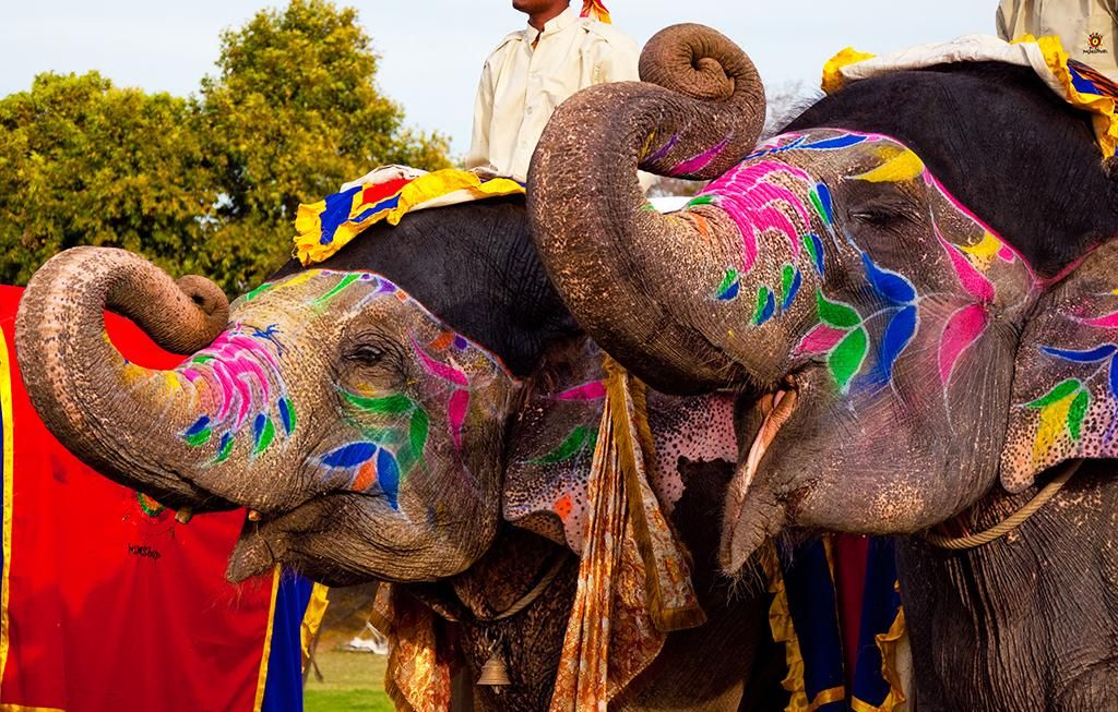 Lumières Et Couleurs Du Rajasthan 3* pas cher photo 2