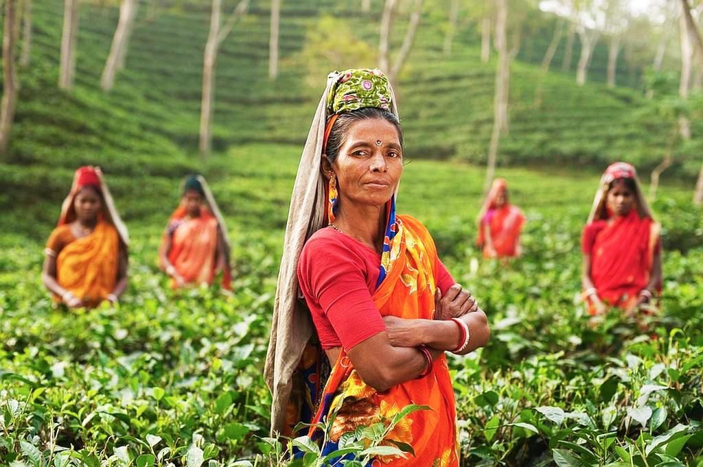 Lumières Et Couleurs Du Rajasthan 3* pas cher photo 5