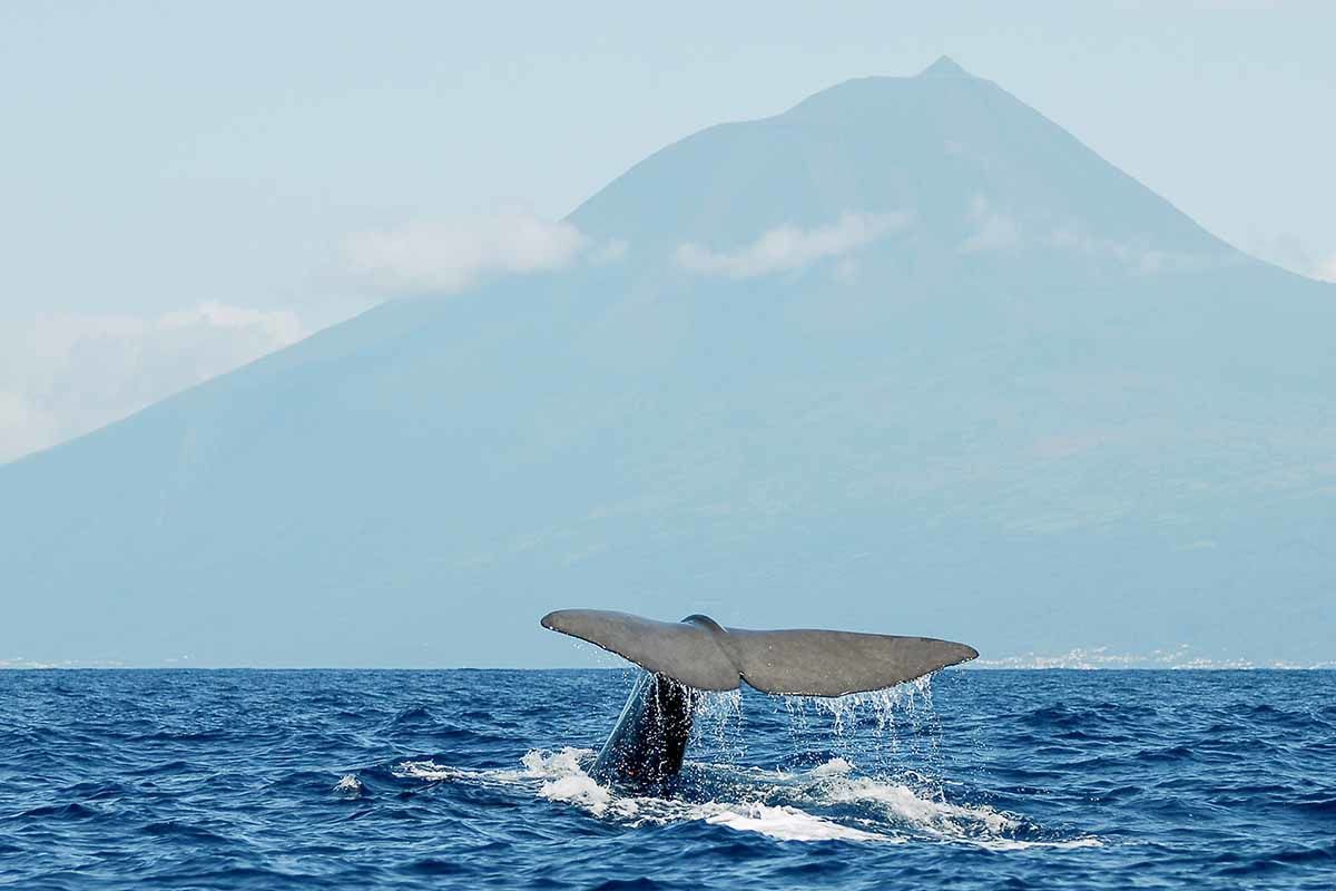 Echappée aux Açores depuis São Miguel - Hôtels 4* pas cher photo 3