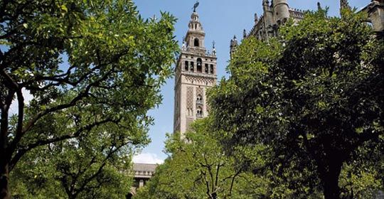 Au Coeur de l'Andalousie 3*/4* - Andalousie pas cher photo 3