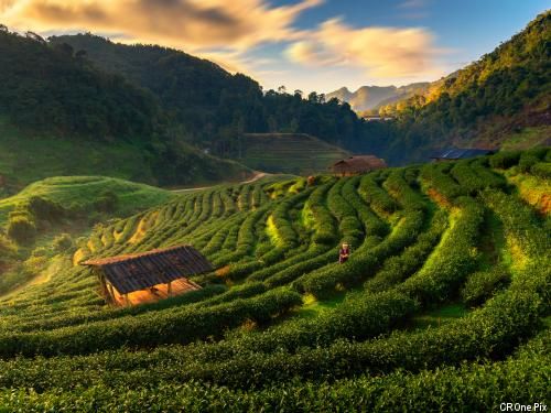 Circuit Beautés du Siam 3* pas cher photo 3