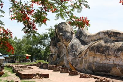 Circuit Orchidées : de Bangkok au Triangle d'Or pas cher photo 5