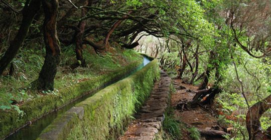Au coeur de Madère - Logement en hôtel 4* à Machico - Madère pas cher photo 4