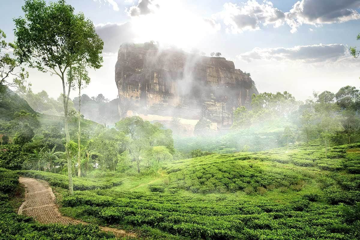 Circuit privé Ceylan vert pas cher photo 1