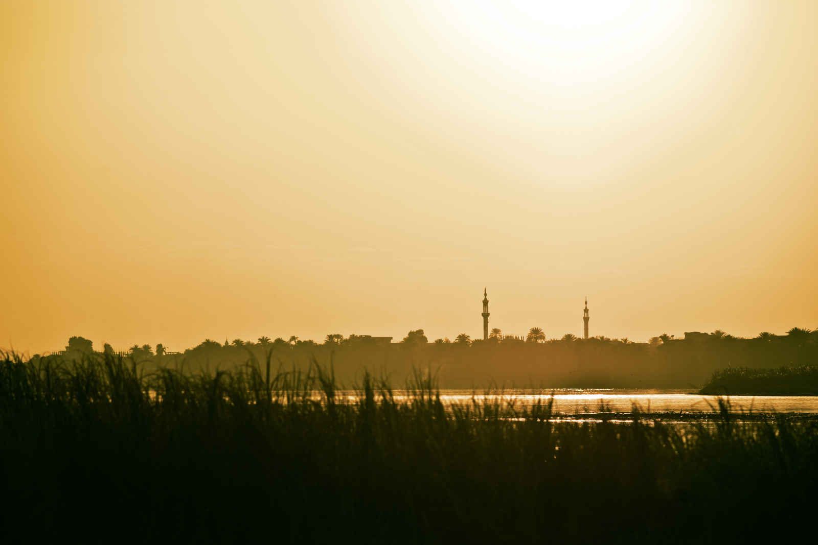 Gloire des dieux pas cher photo 12